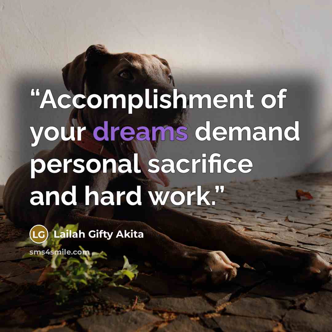“Accomplishment of your dreams demand personal sacrifice and hard work.” quote by Lailah Gifty Akita