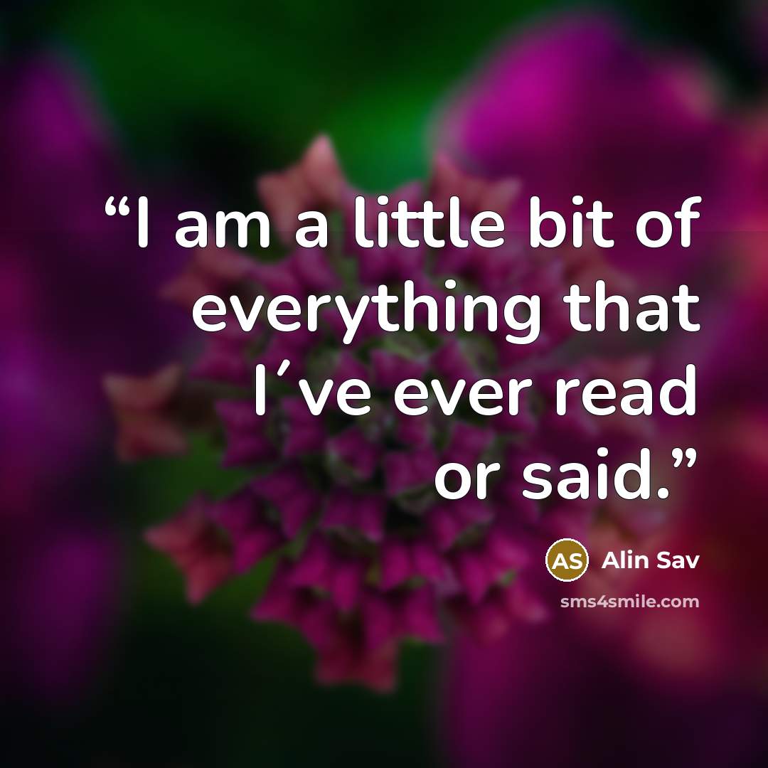 “I am a little bit of everything that I´ve ever read or said.” quote by Alin Sav