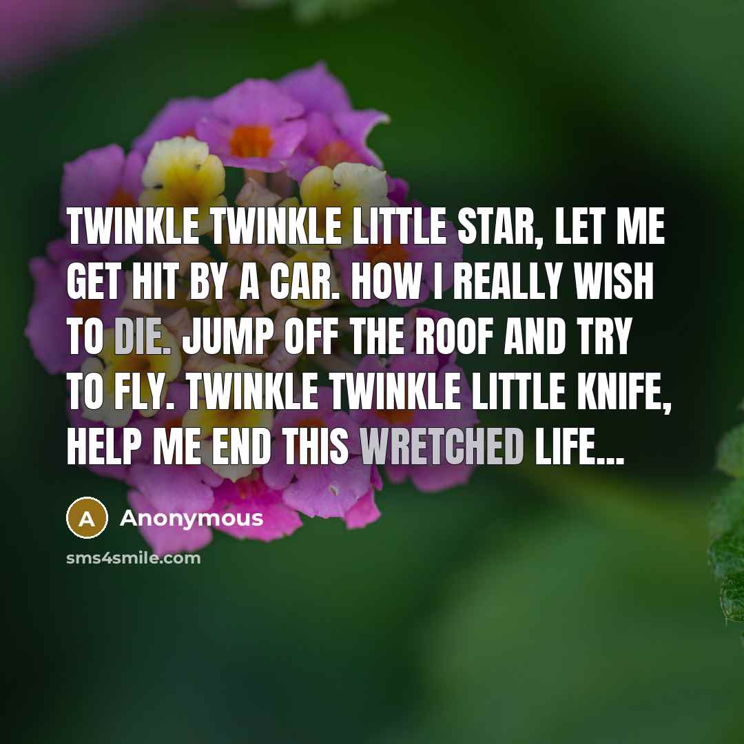 “Twinkle twinkle little star, let me get hit by a car. How I really wish to die. Jump off the roof and try to fly. Twinkle twinkle little knife, help me end this wretched life...” quote by Anonymous