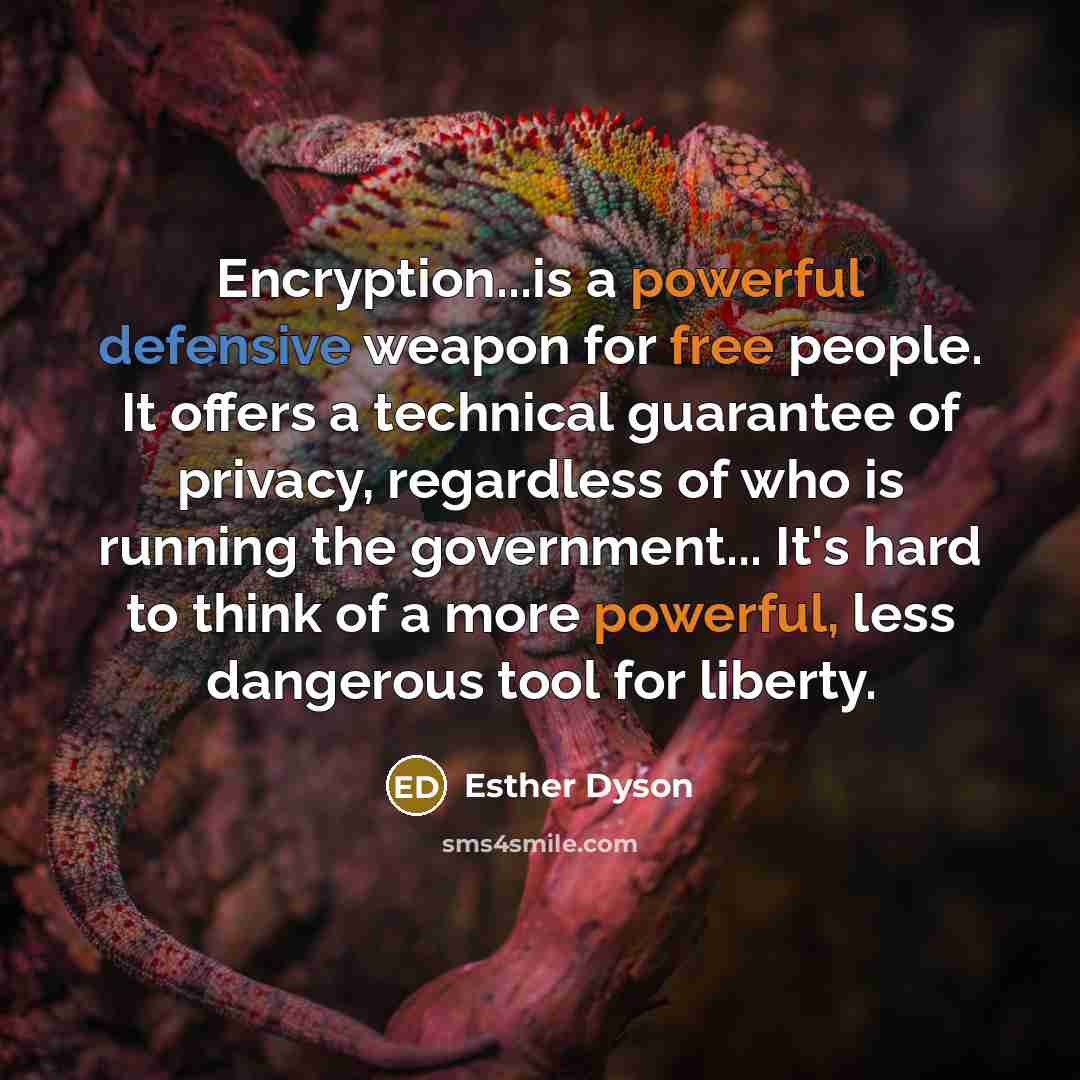 “Encryption...is a powerful defensive weapon for free people. It offers a technical guarantee of privacy, regardless of who is running the government... It's hard to think of a more powerful, less dangerous tool for liberty.” quote by Esther Dyson