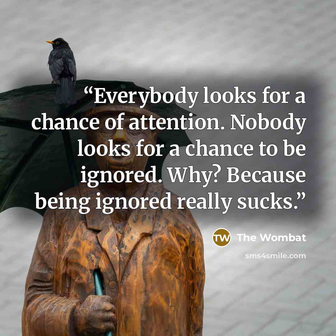 “Everybody looks for a chance of attention. Nobody looks for a chance to be ignored. Why? Because being ignored really sucks.” quote by The Wombat