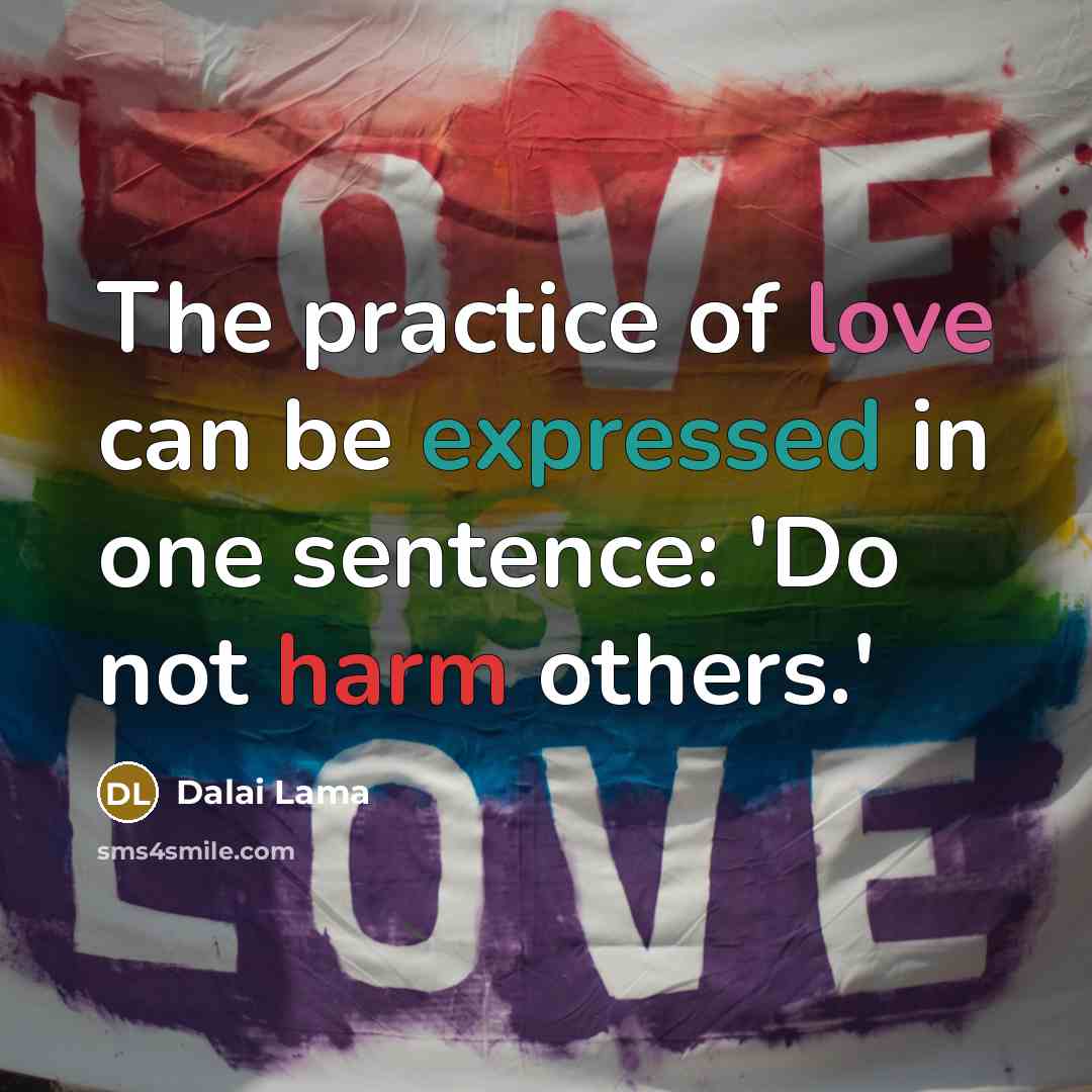 “The practice of love can be expressed in one sentence: 'Do not harm others.'” quote by Dalai Lama