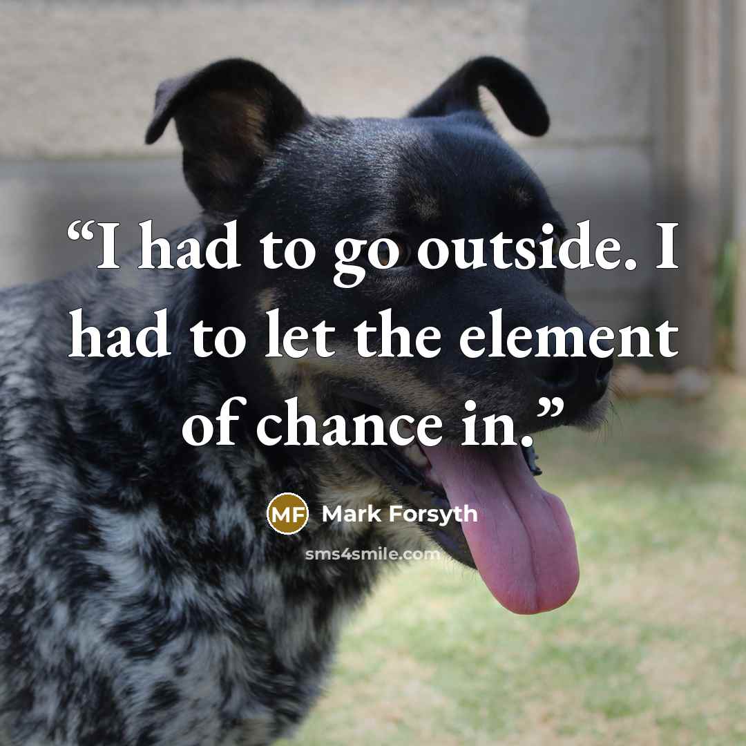 “I had to go outside. I had to let the element of chance in.” quote by Mark Forsyth