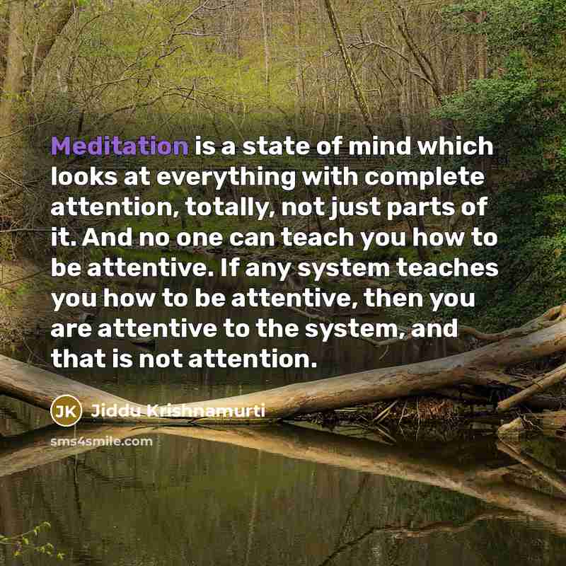 “Meditation is a state of mind which looks at everything with complete attention, totally, not just parts of it. And no one can teach you how to be attentive. If any system teaches you how to be attentive, then you are attentive to the system, and that is not attention.” quote by Jiddu Krishnamurti