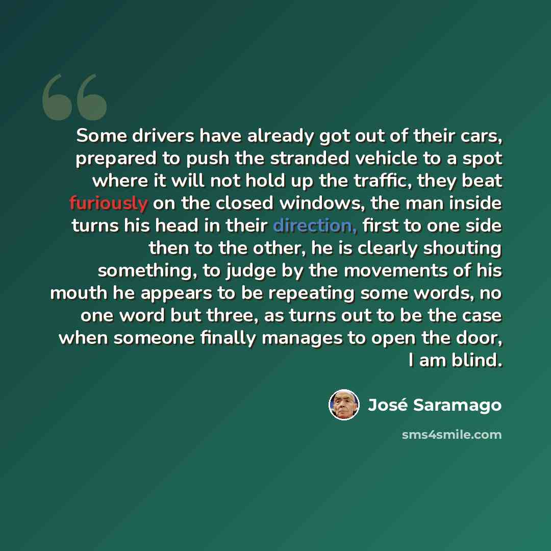 “Some drivers have already got out of their cars, prepared to push the stranded vehicle to a spot where it will not hold up the traffic, they beat furiously on the closed windows, the man inside turns his head in their direction, first to one side then to the other, he is clearly shouting…” quote by Jose Saramago