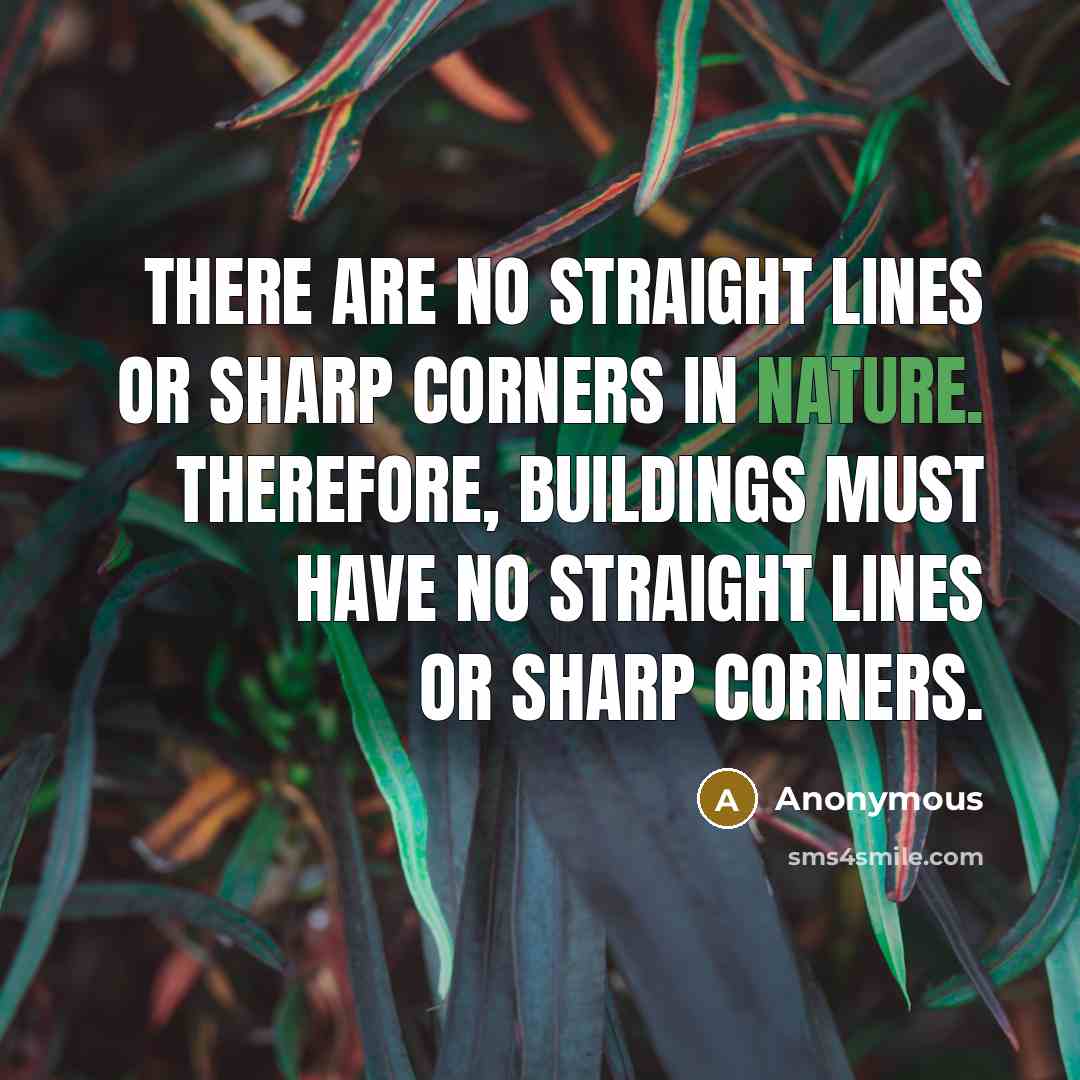 “There are no straight lines or sharp corners in nature. Therefore, buildings must have no straight lines or sharp corners.” quote by Anonymous