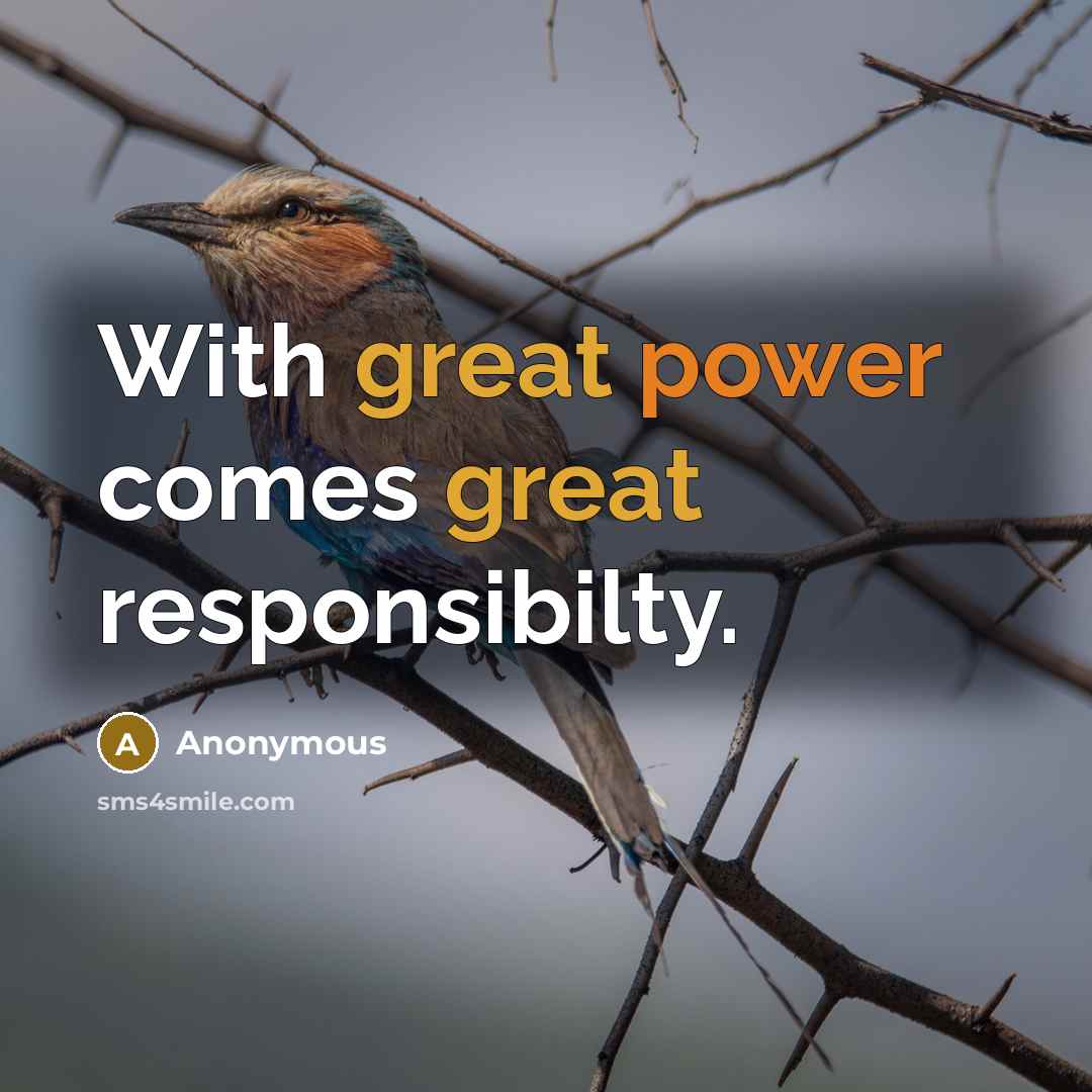 “With great power comes great responsibilty.” quote by Anonymous