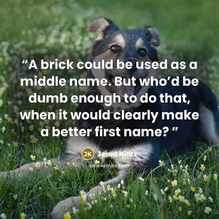 “A brick could be used as a middle name. But who’d be dumb enough to do that, when it would clearly make a better first name?” quote by Jarod Kintz