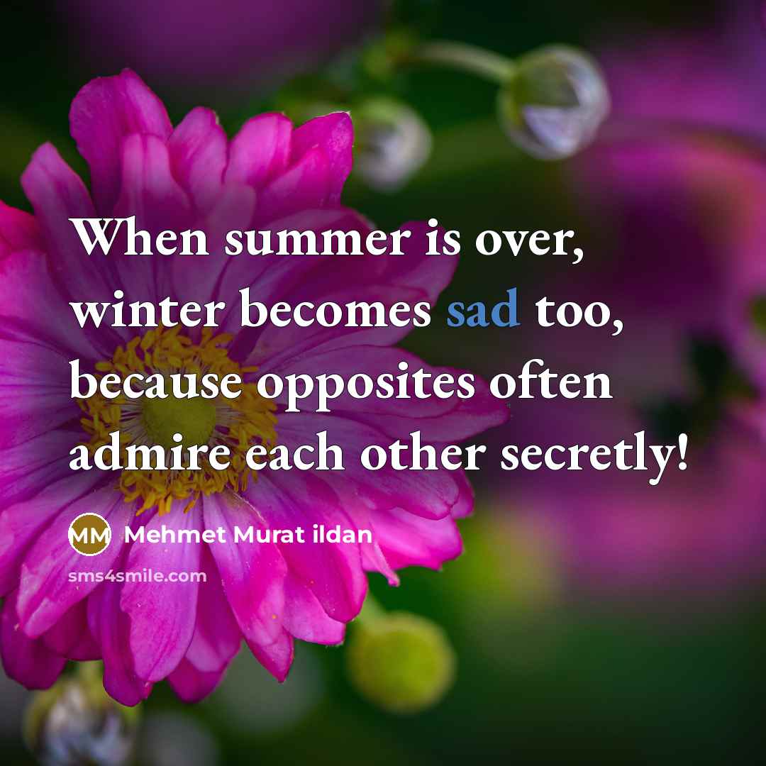 “When summer is over, winter becomes sad too, because opposites often admire each other secretly!” quote by Mehmet Murat Ildan