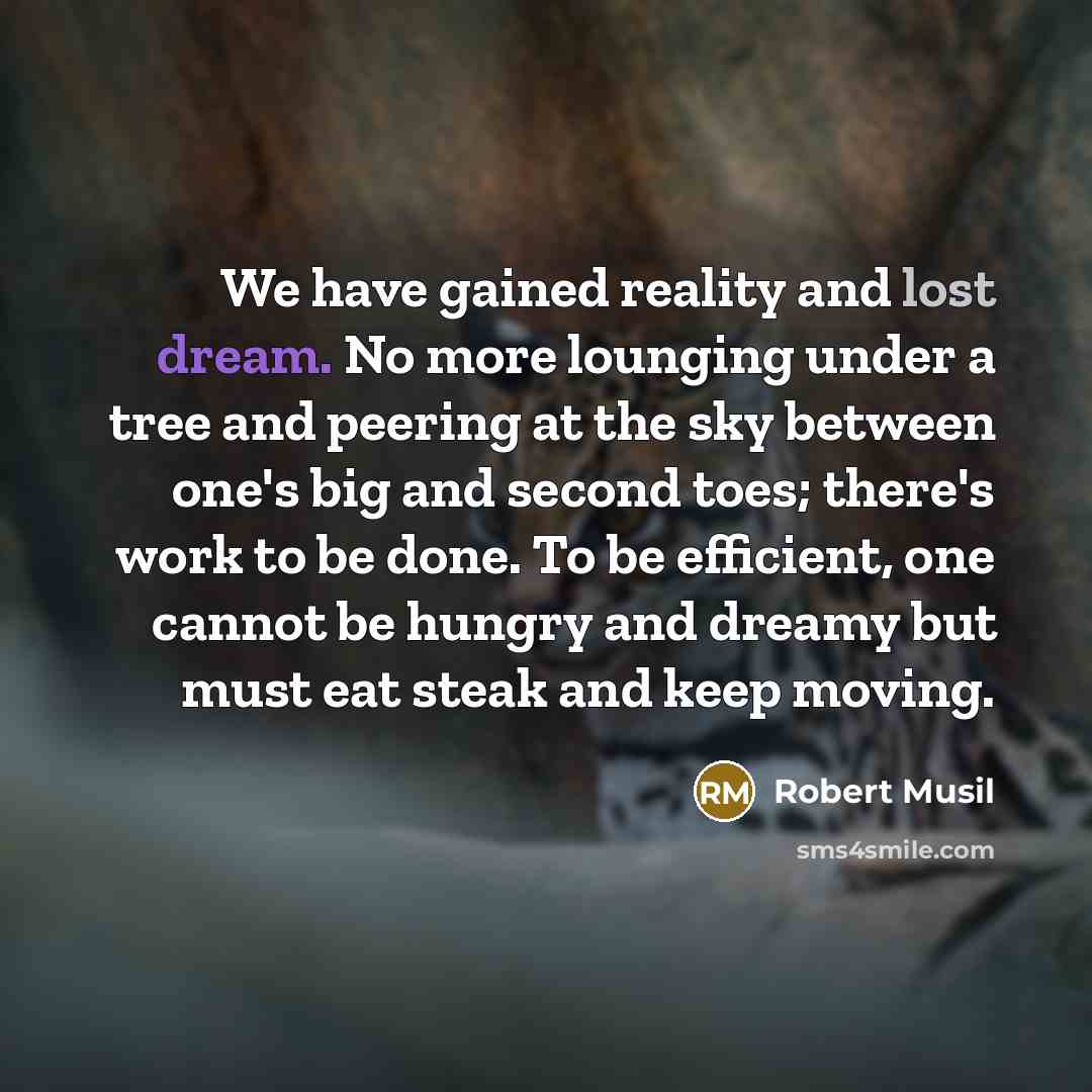 “We have gained reality and lost dream. No more lounging under a tree and peering at the sky between one's big and second toes; there's work to be done. To be efficient, one cannot be hungry and dreamy but must eat steak and keep moving.” quote by Robert Musil
