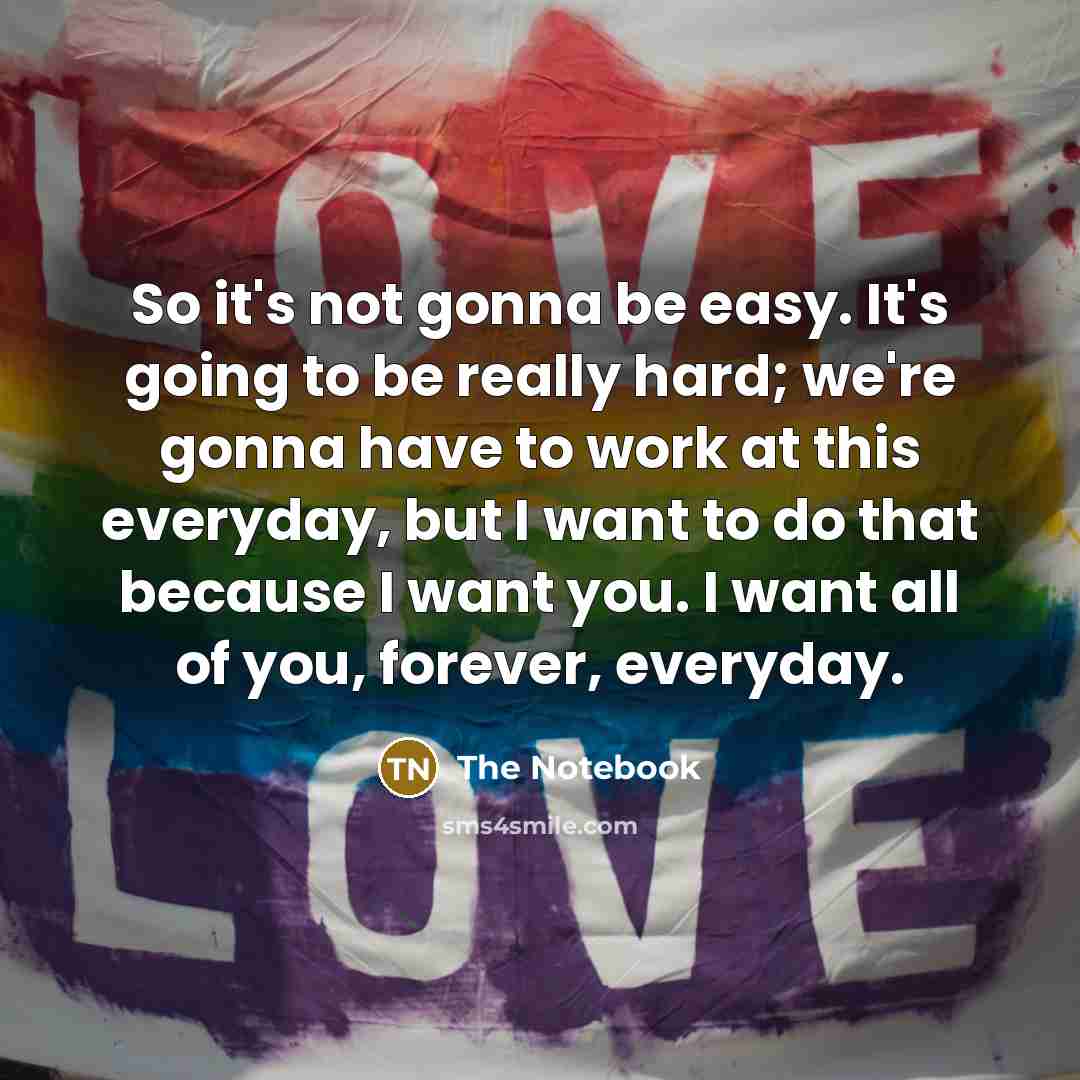 “So it's not gonna be easy. It's going to be really hard; we're gonna have to work at this everyday, but I want to do that because I want you. I want all of you, forever, everyday.” quote by The Notebook
