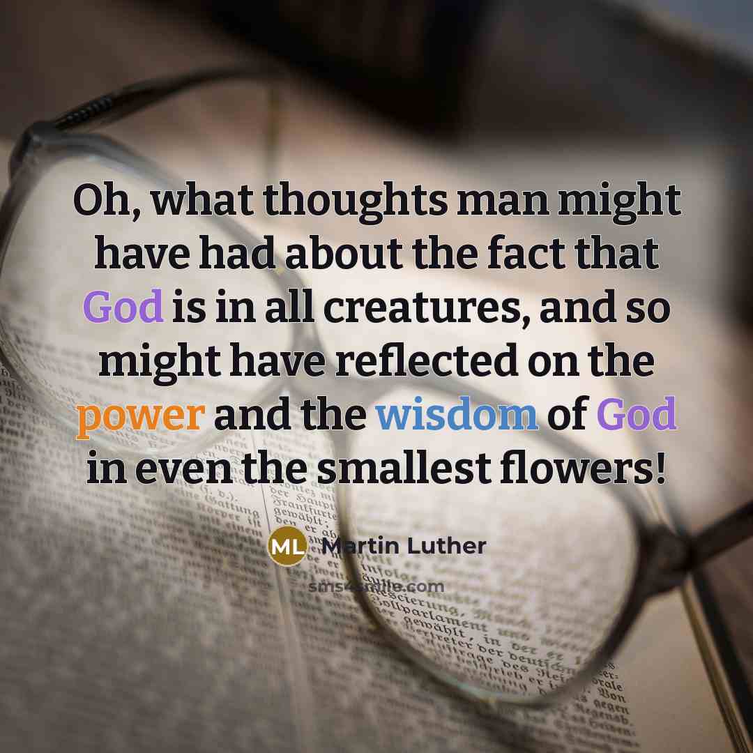 “Oh, what thoughts man might have had about the fact that God is in all creatures, and so might have reflected on the power and the wisdom of God in even the smallest flowers!” quote by Martin Luther