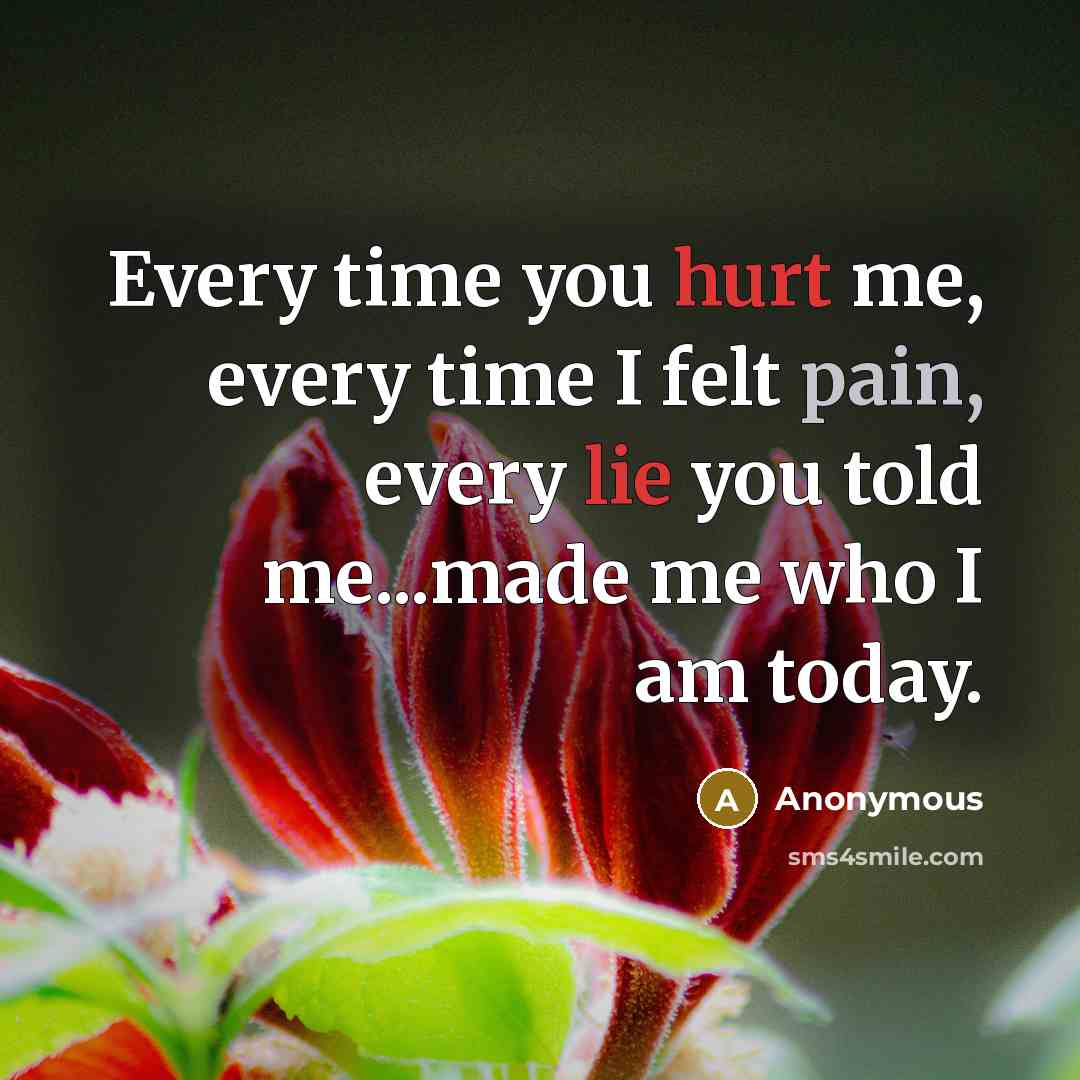 “Every time you hurt me, every time I felt pain, every lie you told me...made me who I am today.” quote by Anonymous