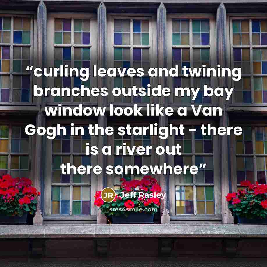 “curling leaves and twining branches outside my bay window look like a Van Gogh in the starlight - there is a river out there somewhere” quote by jeff rasley
