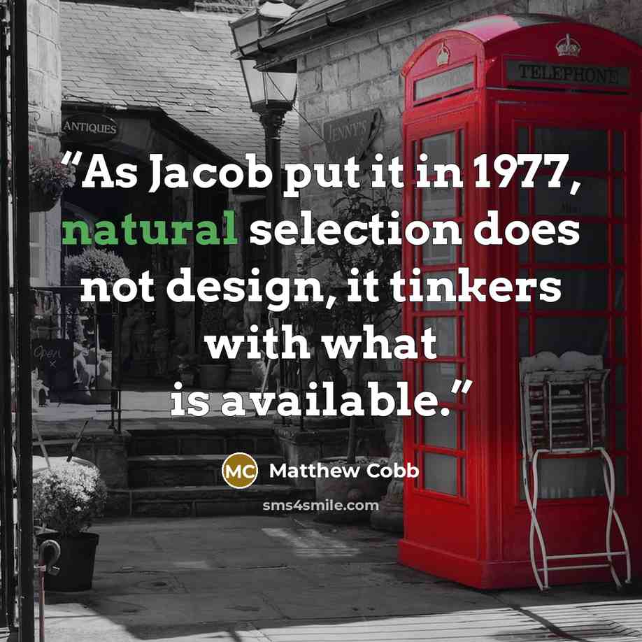 “As Jacob put it in 1977, natural selection does not design, it tinkers with what is available.” quote by Matthew Cobb