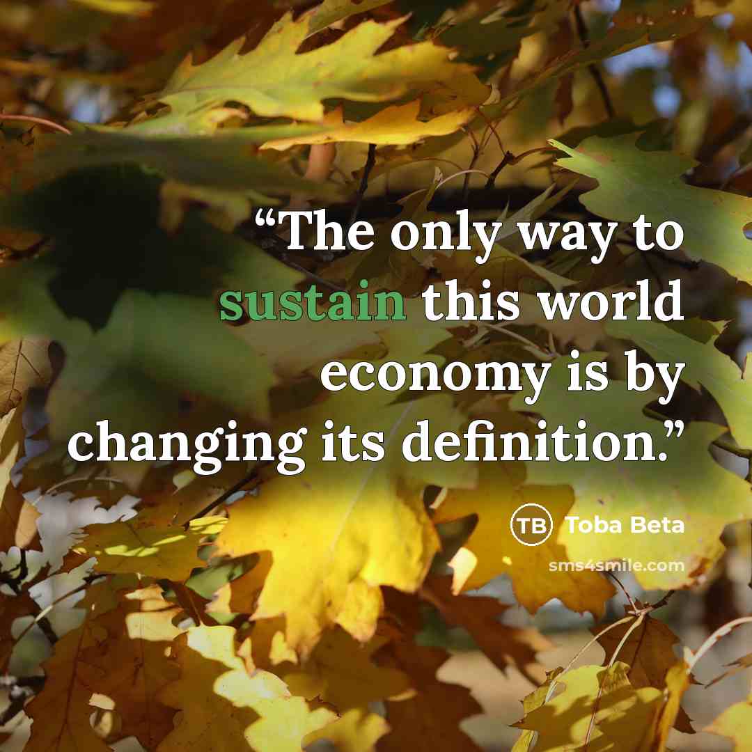 “The only way to sustain this world economy is by changing its definition.” quote by Toba Beta
