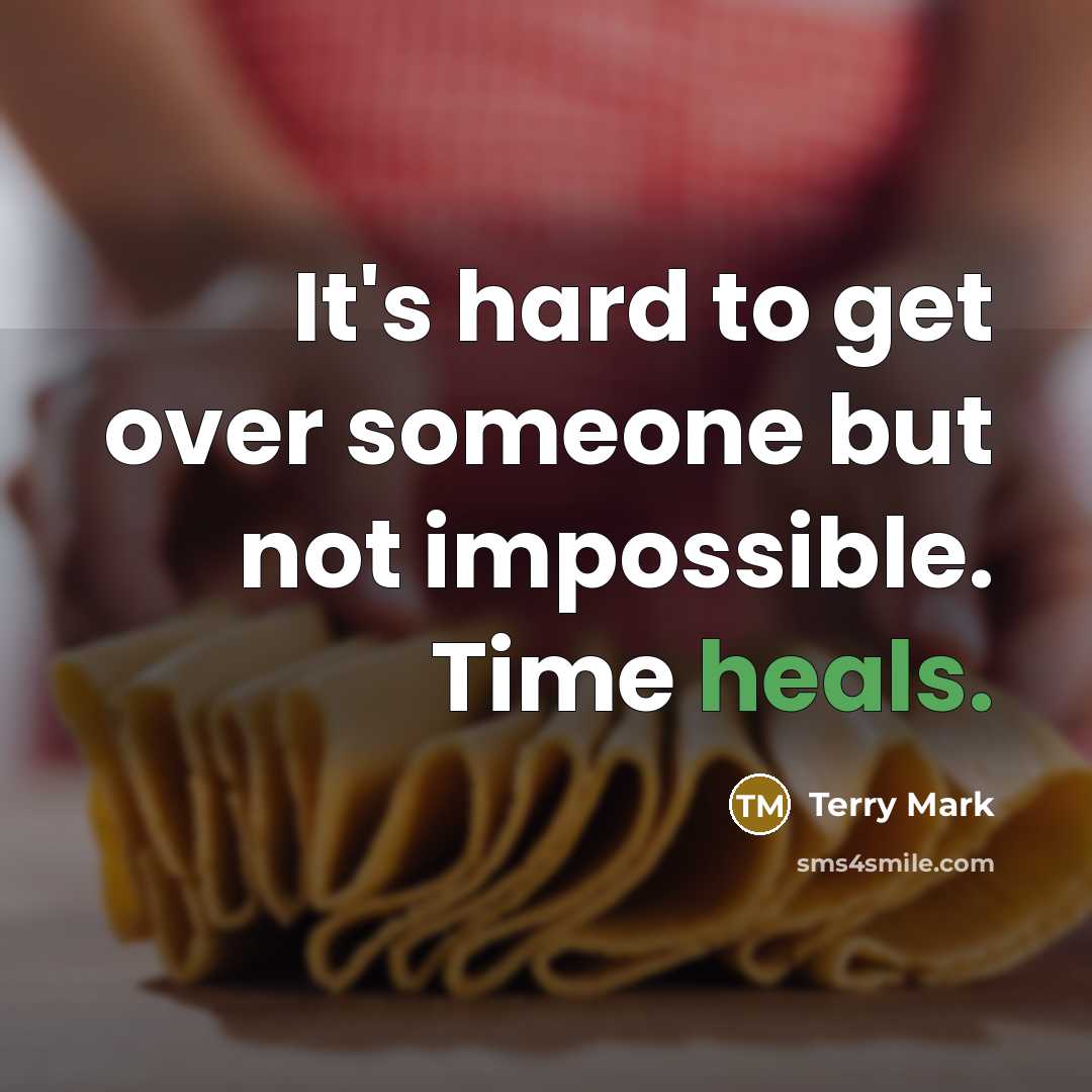 “It's hard to get over someone but not impossible. Time heals.” quote by Terry Mark