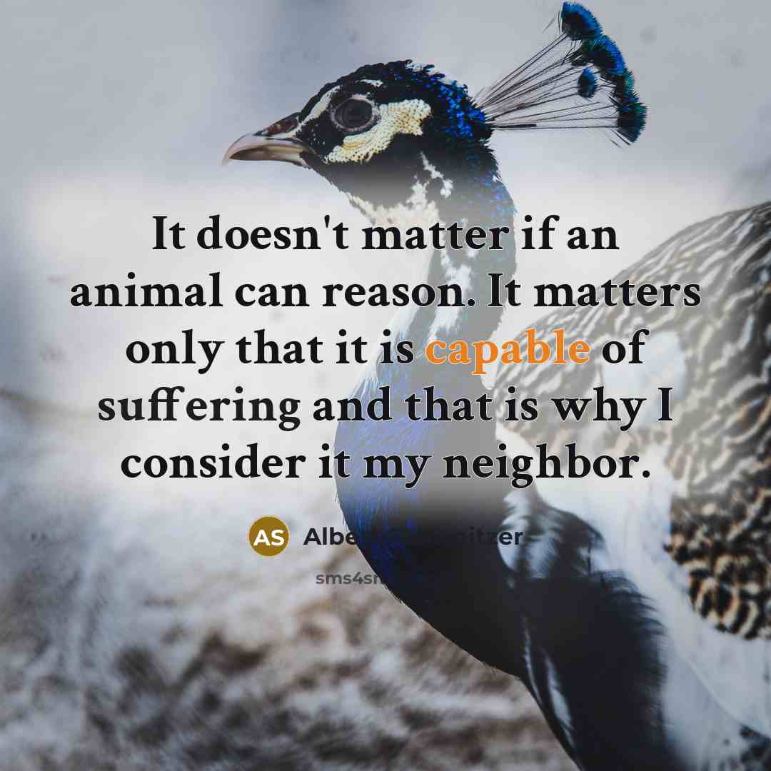 “It doesn't matter if an animal can reason. It matters only that it is capable of suffering and that is why I consider it my neighbor.” quote by Albert Schweitzer