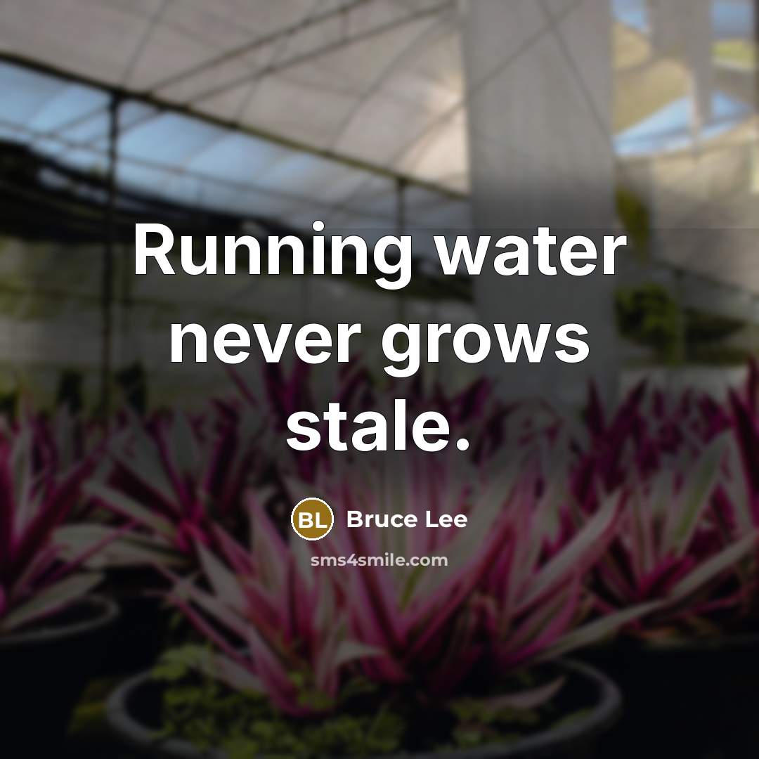 “Running water never grows stale.” quote by Bruce Lee