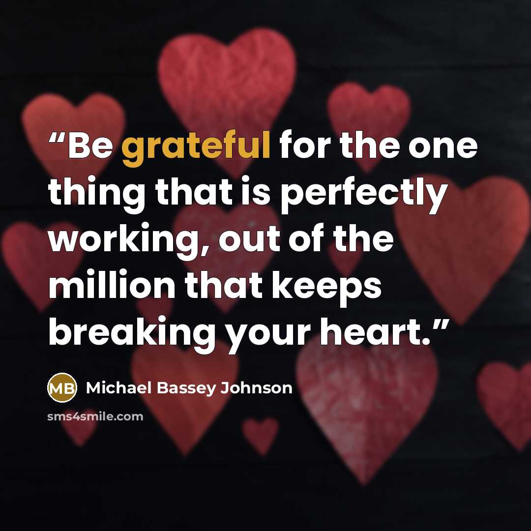 “Be grateful for the one thing that is perfectly working, out of the million that keeps breaking your heart.” quote by Michael Bassey Johnson