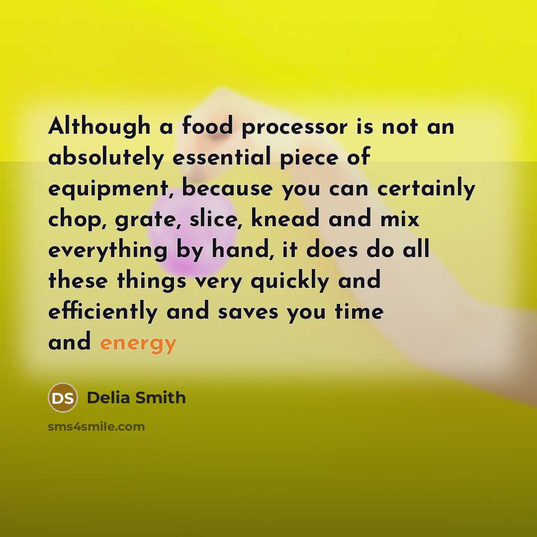 “Although a food processor is not an absolutely essential piece of equipment, because you can certainly chop, grate, slice, knead and mix everything by hand, it does do all these things very quickly and efficiently and saves you time and energy” quote by Delia Smith