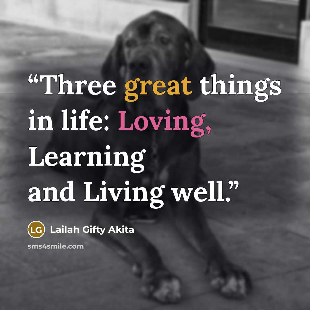 “Three great things in life: Loving, Learning and Living well.” quote by Lailah Gifty Akita