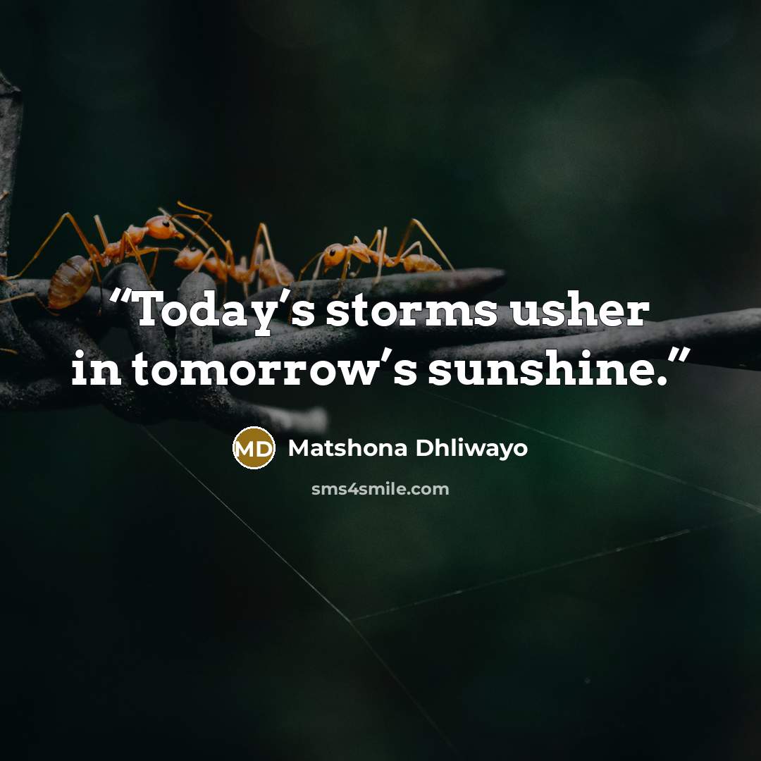 “Today’s storms usher in tomorrow’s sunshine.” quote by Matshona Dhliwayo