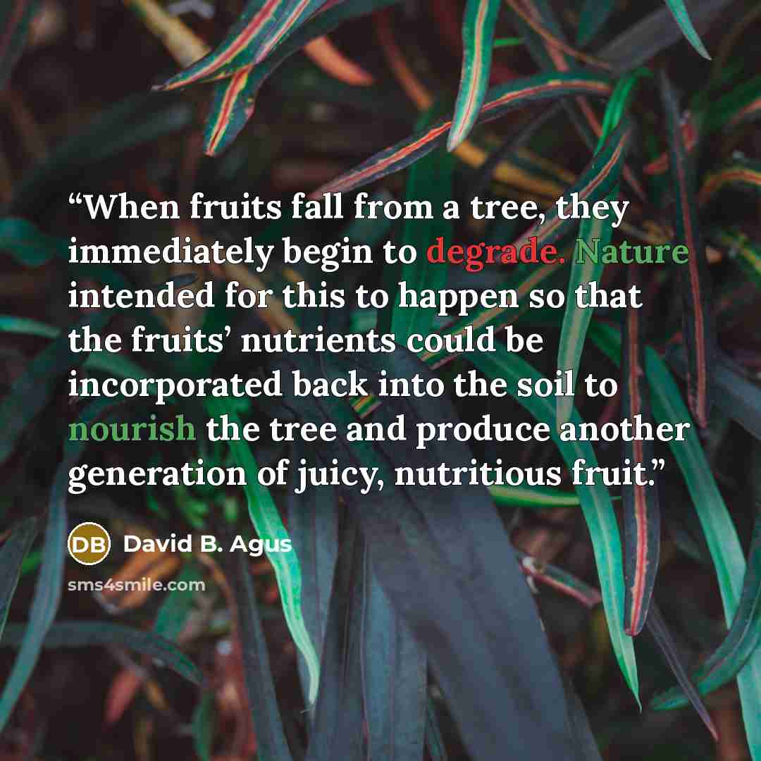 “When fruits fall from a tree, they immediately begin to degrade. Nature intended for this to happen so that the fruits’ nutrients could be incorporated back into the soil to nourish the tree and produce another generation of juicy, nutritious fruit.” quote by David B. Agus