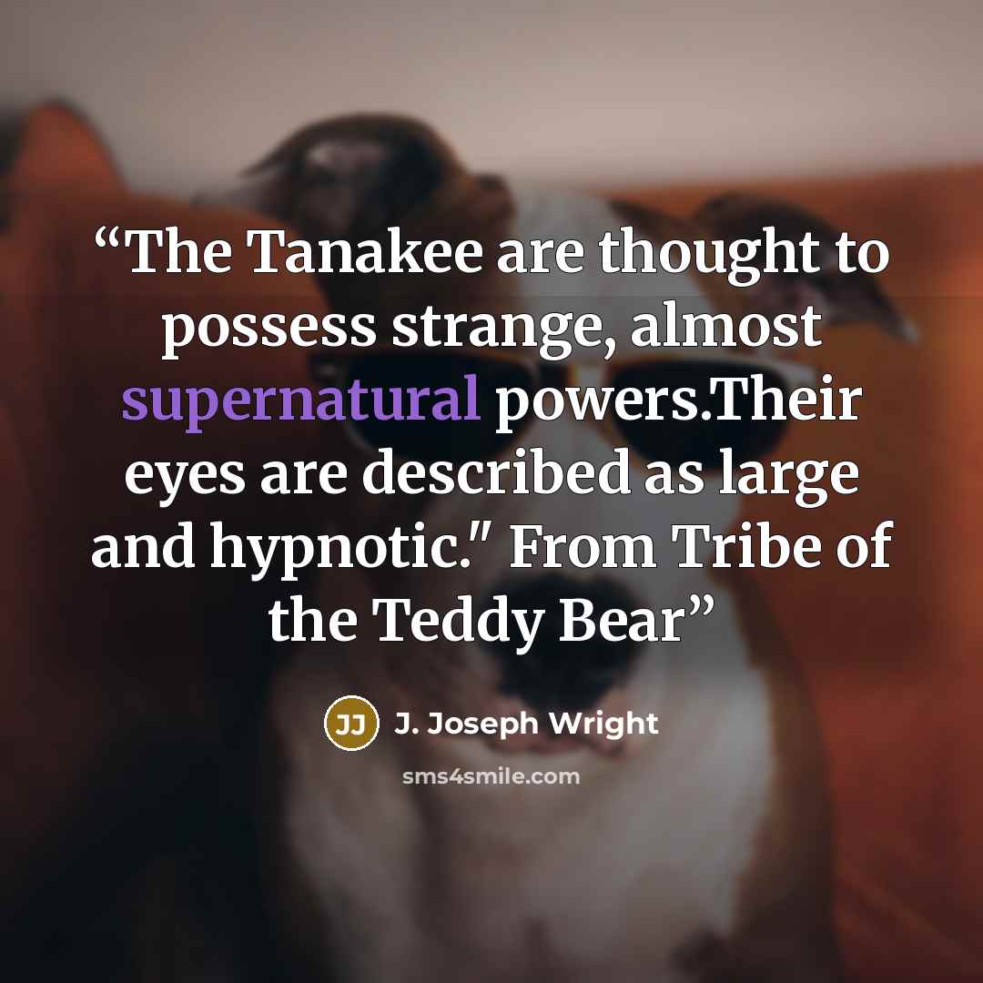 “The Tanakee are thought to possess strange, almost supernatural powers.Their eyes are described as large and hypnotic." From Tribe of the Teddy Bear” quote by J. Joseph Wright