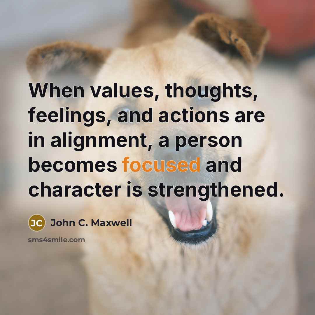 “When values, thoughts, feelings, and actions are in alignment, a person becomes focused and character is strengthened.” quote by John C. Maxwell