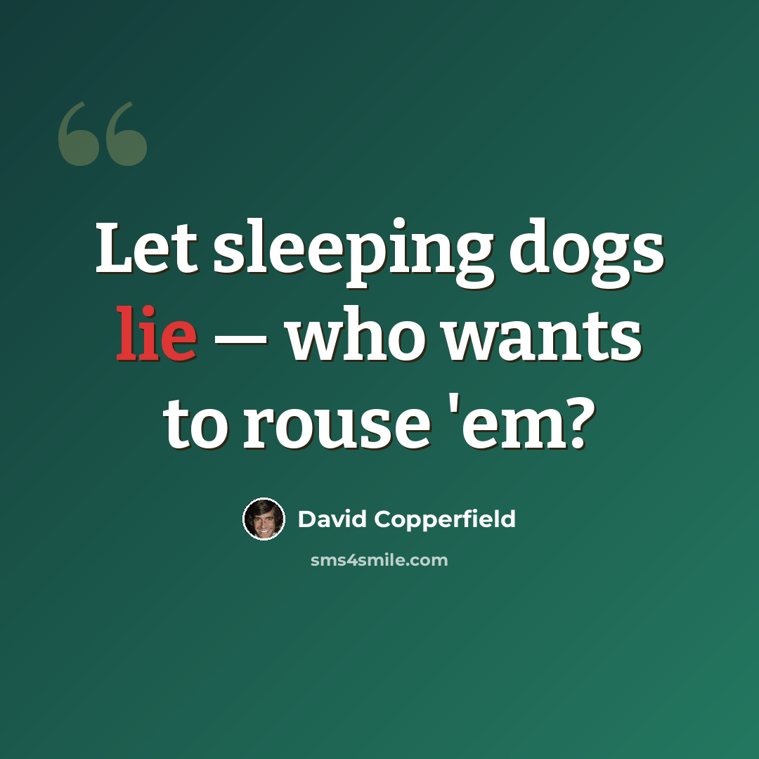 “Let sleeping dogs lie — who wants to rouse 'em?” quote by David Copperfield