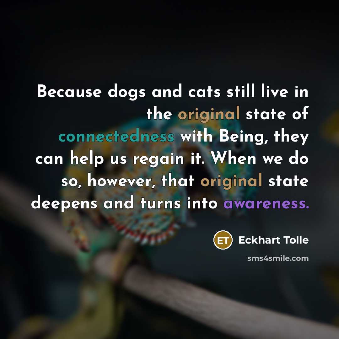 “Because dogs and cats still live in the original state of connectedness with Being, they can help us regain it. When we do so, however, that original state deepens and turns into awareness.” quote by Eckhart Tolle