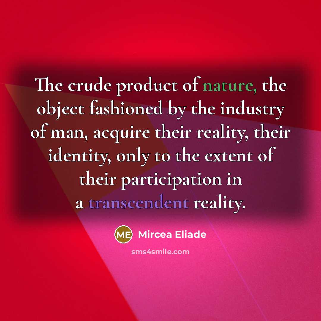 “The crude product of nature, the object fashioned by the industry of man, acquire their reality, their identity, only to the extent of their participation in a transcendent reality.” quote by Mircea Eliade