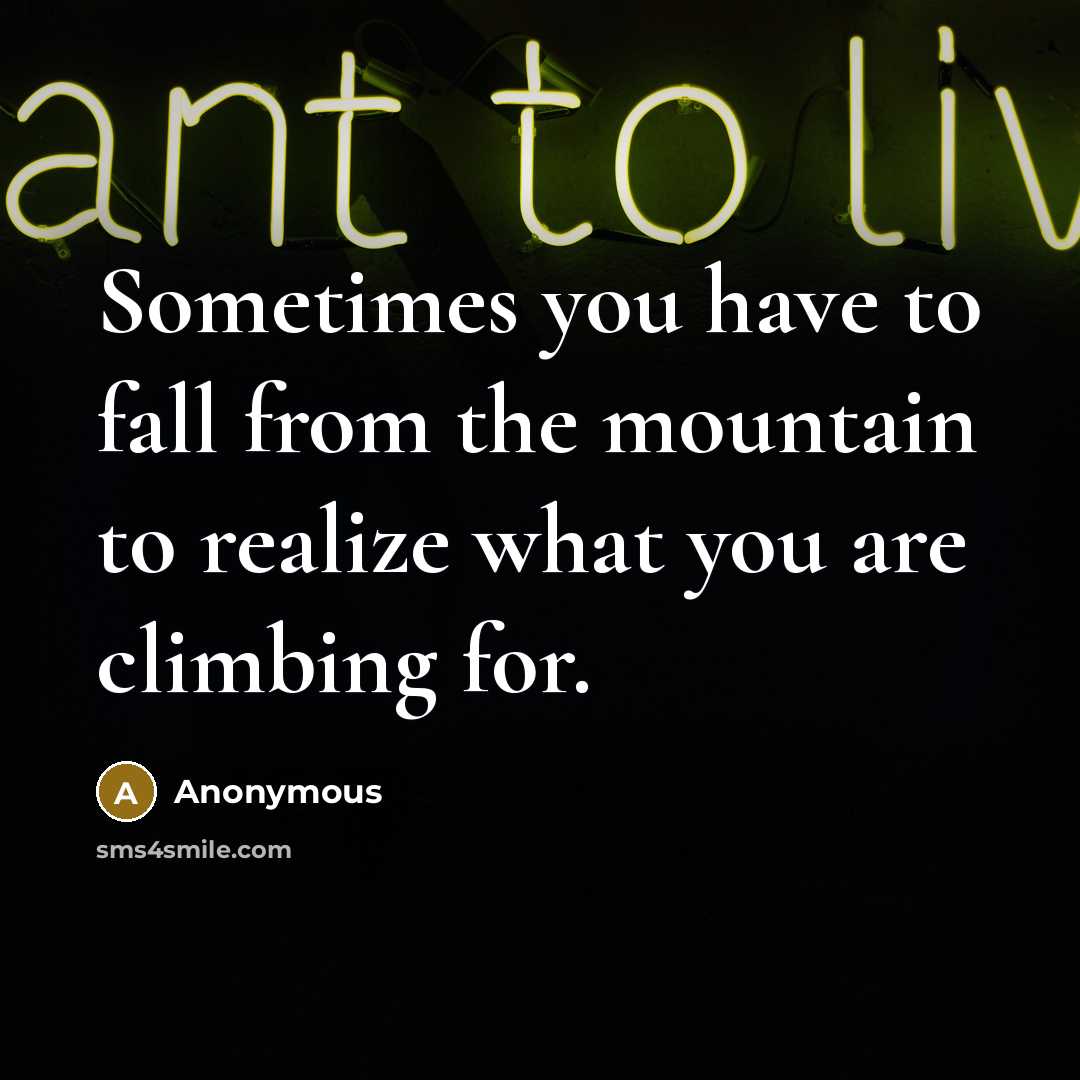 “Sometimes you have to fall from the mountain to realize what you are climbing for.” quote by Anonymous