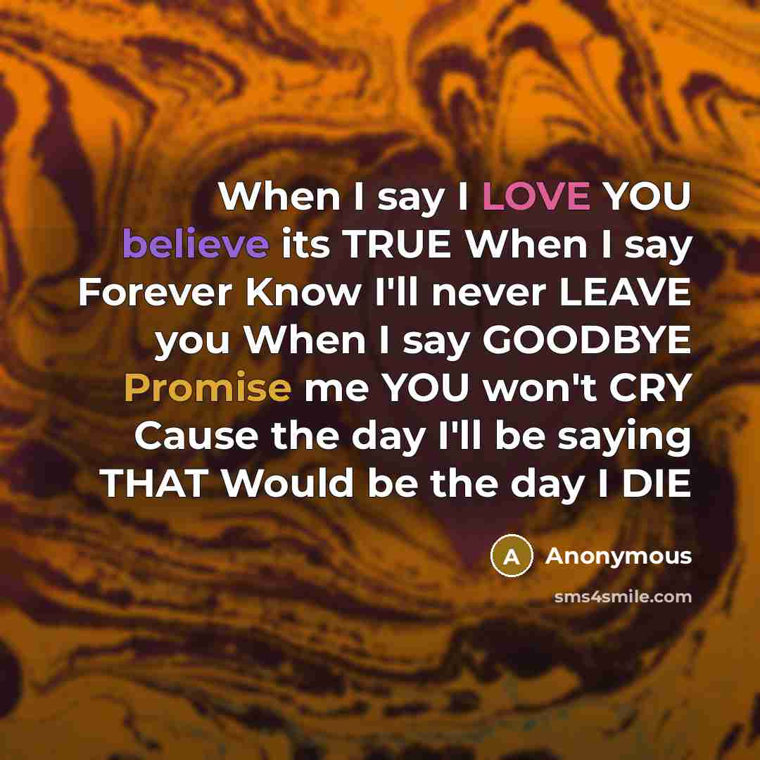 “When I say I LOVE YOU believe its TRUE When I say Forever Know I'll never LEAVE you When I say GOODBYE Promise me YOU won't CRY Cause the day I'll be saying THAT Would be the day I DIE” quote by Anonymous