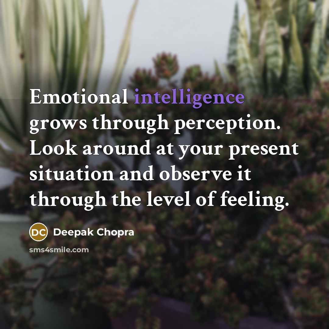“Emotional intelligence grows through perception. Look around at your present situation and observe it through the level of feeling.” quote by Deepak Chopra
