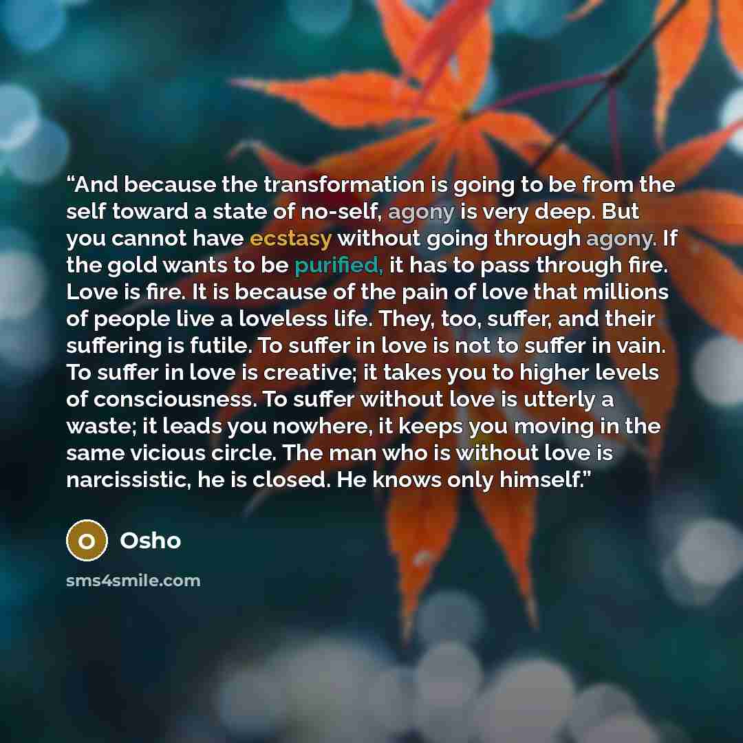 “And because the transformation is going to be from the self toward a state of no-self, agony is very deep. But you cannot have ecstasy without going through agony. If the gold wants to be purified, it has to pass through fire. Love is fire. It is because of the pain of love that millions of people…” quote by Osho