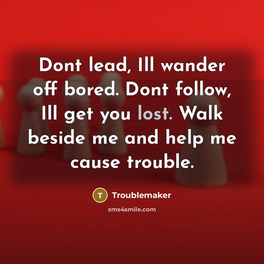 “Dont lead, Ill wander off bored. Dont follow, Ill get you lost. Walk beside me and help me cause trouble.” quote by Troublemaker