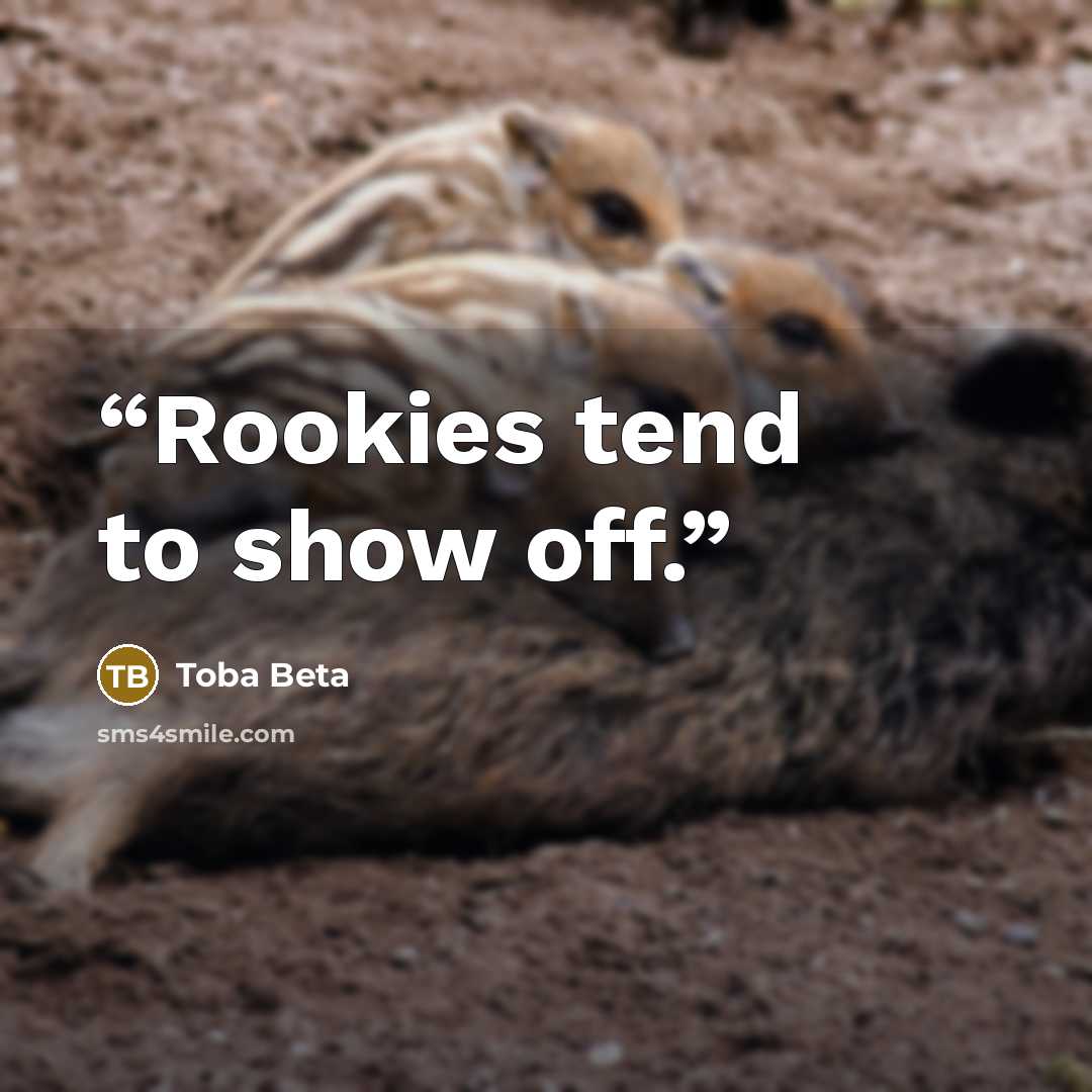 “Rookies tend to show off.” quote by Toba Beta