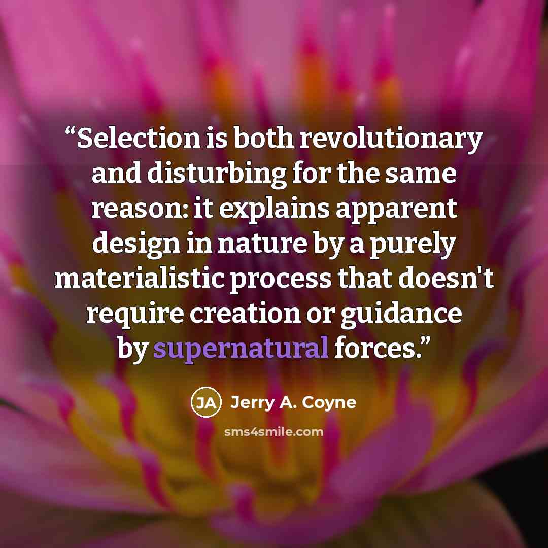 “Selection is both revolutionary and disturbing for the same reason: it explains apparent design in nature by a purely materialistic process that doesn't require creation or guidance by supernatural forces.” quote by Jerry A. Coyne
