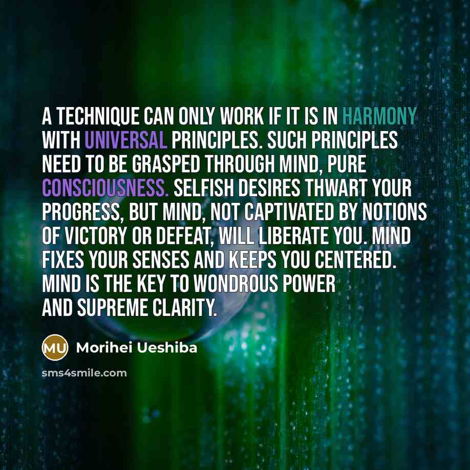“A technique can only work if it is in harmony with universal principles. Such principles need to be grasped through Mind, pure consciousness. Selfish desires thwart your progress, but Mind, not captivated by notions of victory or defeat, will liberate you. Mind fixes your senses and keeps you…” quote by Morihei Ueshiba