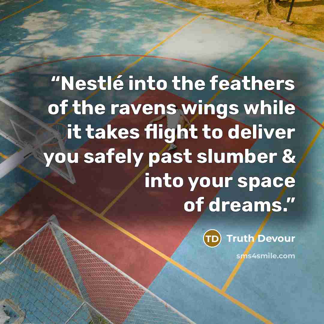 “Nestlé into the feathers of the ravens wings while it takes flight to deliver you safely past slumber & into your space of dreams.” quote by Truth Devour