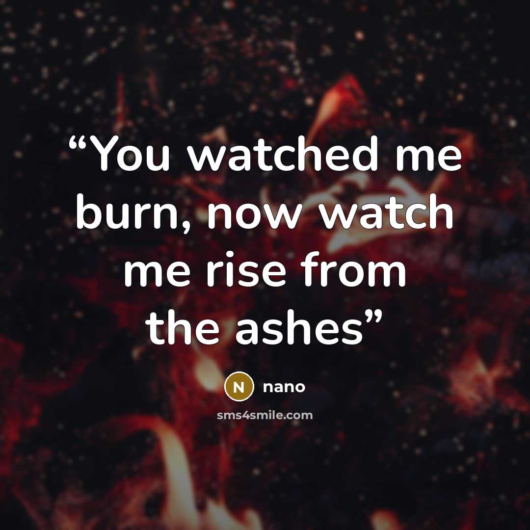 “You watched me burn, now watch me rise from the ashes” quote by nano