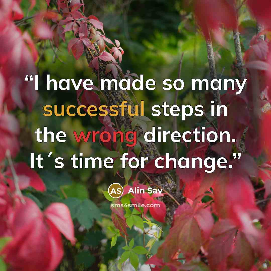“I have made so many successful steps in the wrong direction. It´s time for change.” quote by Alin Sav