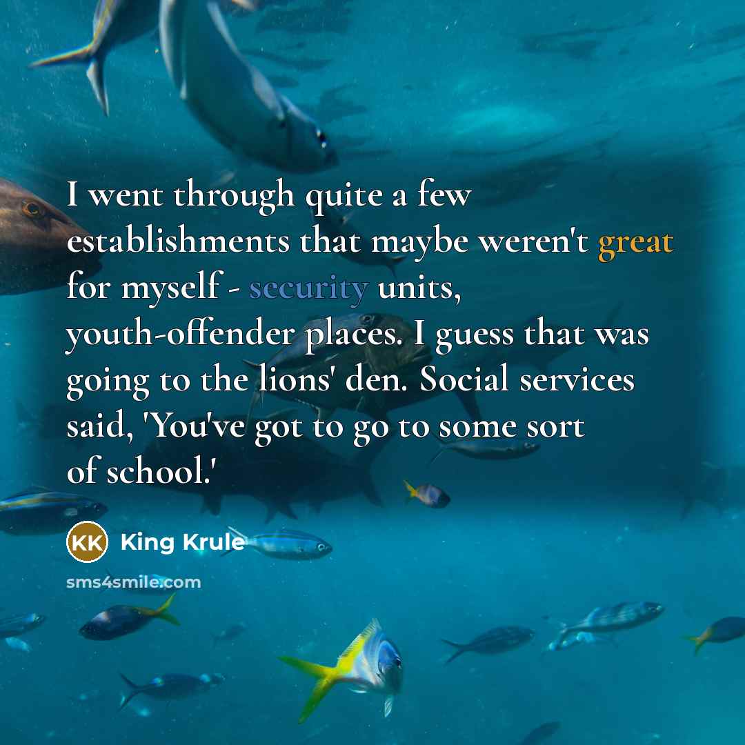 “I went through quite a few establishments that maybe weren't great for myself - security units, youth-offender places. I guess that was going to the lions' den. Social services said, 'You've got to go to some sort of school.'” quote by King Krule