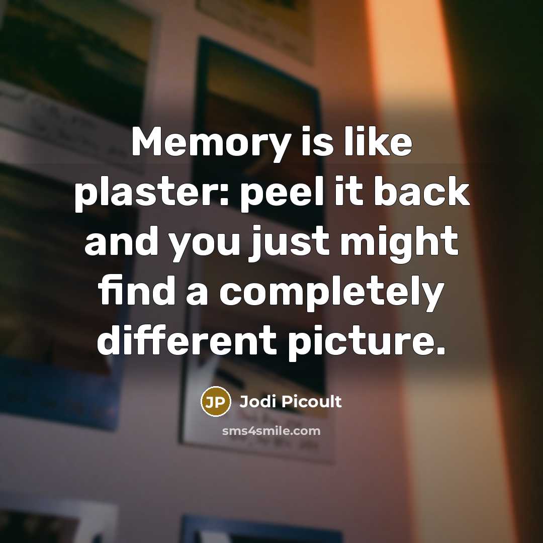 “Memory is like plaster: peel it back and you just might find a completely different picture.” quote by Jodi Picoult