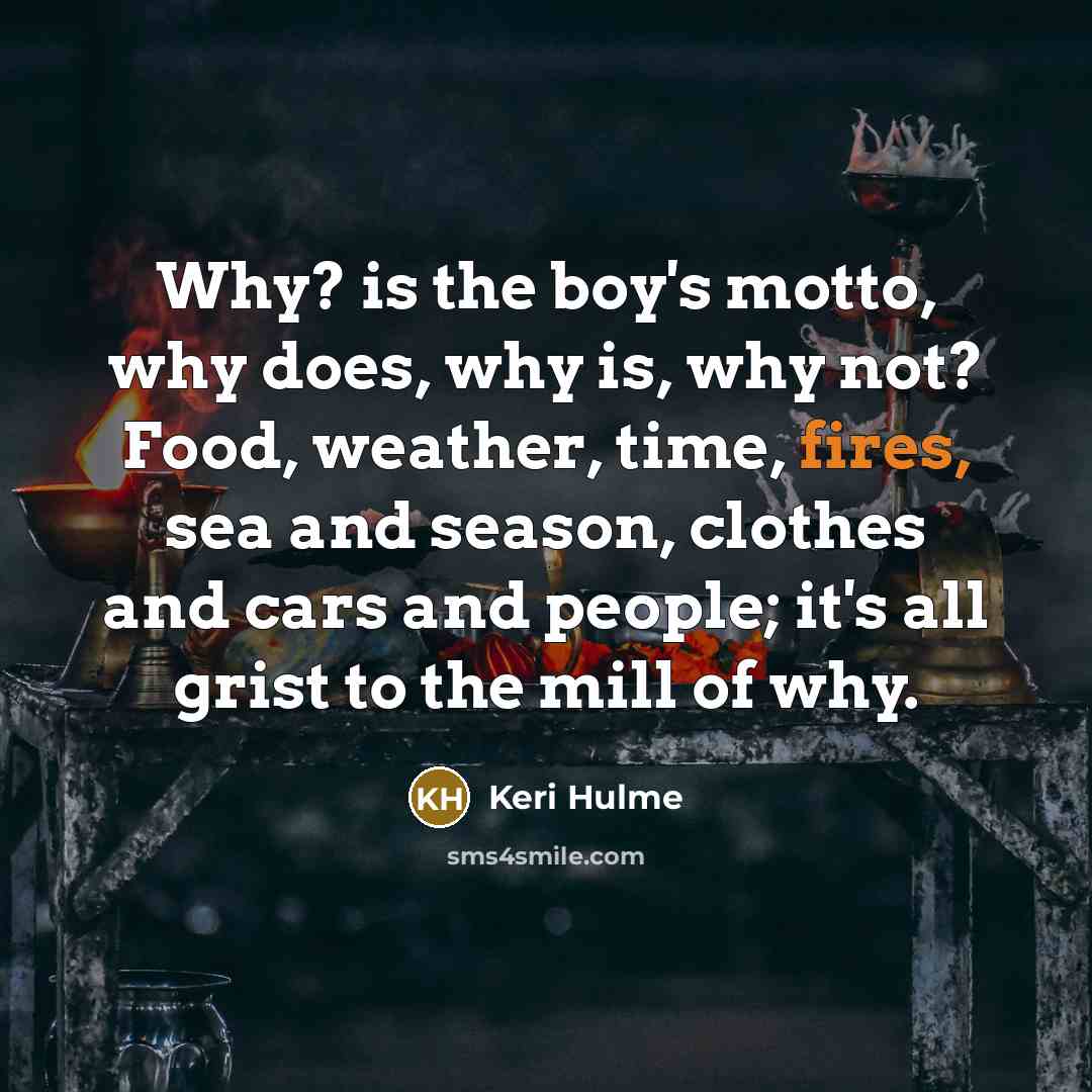 “Why? is the boy's motto, why does, why is, why not? Food, weather, time, fires, sea and season, clothes and cars and people; it's all grist to the mill of why.” quote by Keri Hulme