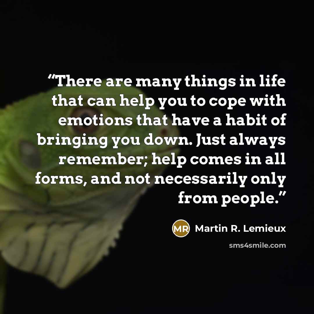 “There are many things in life that can help you to cope with emotions that have a habit of bringing you down. Just always remember; help comes in all forms, and not necessarily only from people.” quote by Martin R. Lemieux