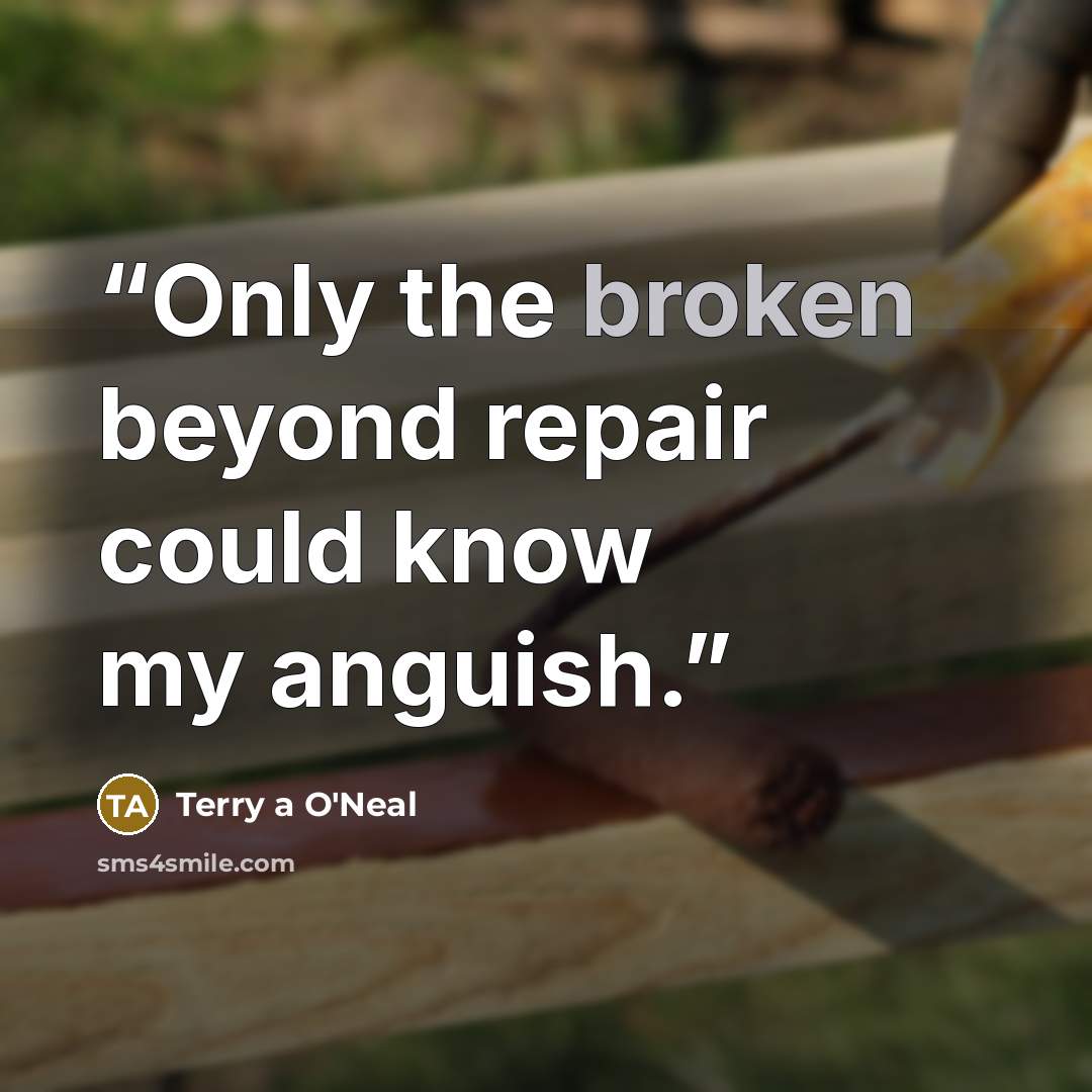 “Only the broken beyond repair could know my anguish.” quote by Terry a O'Neal