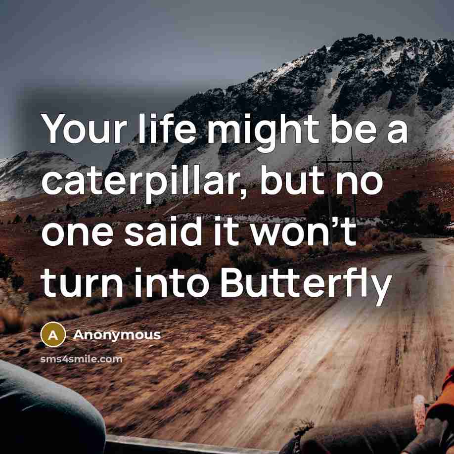 “Your life might be a caterpillar, but no one said it won't turn into Butterfly” quote by Anonymous